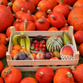Fruitbox