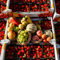 Fruitbox