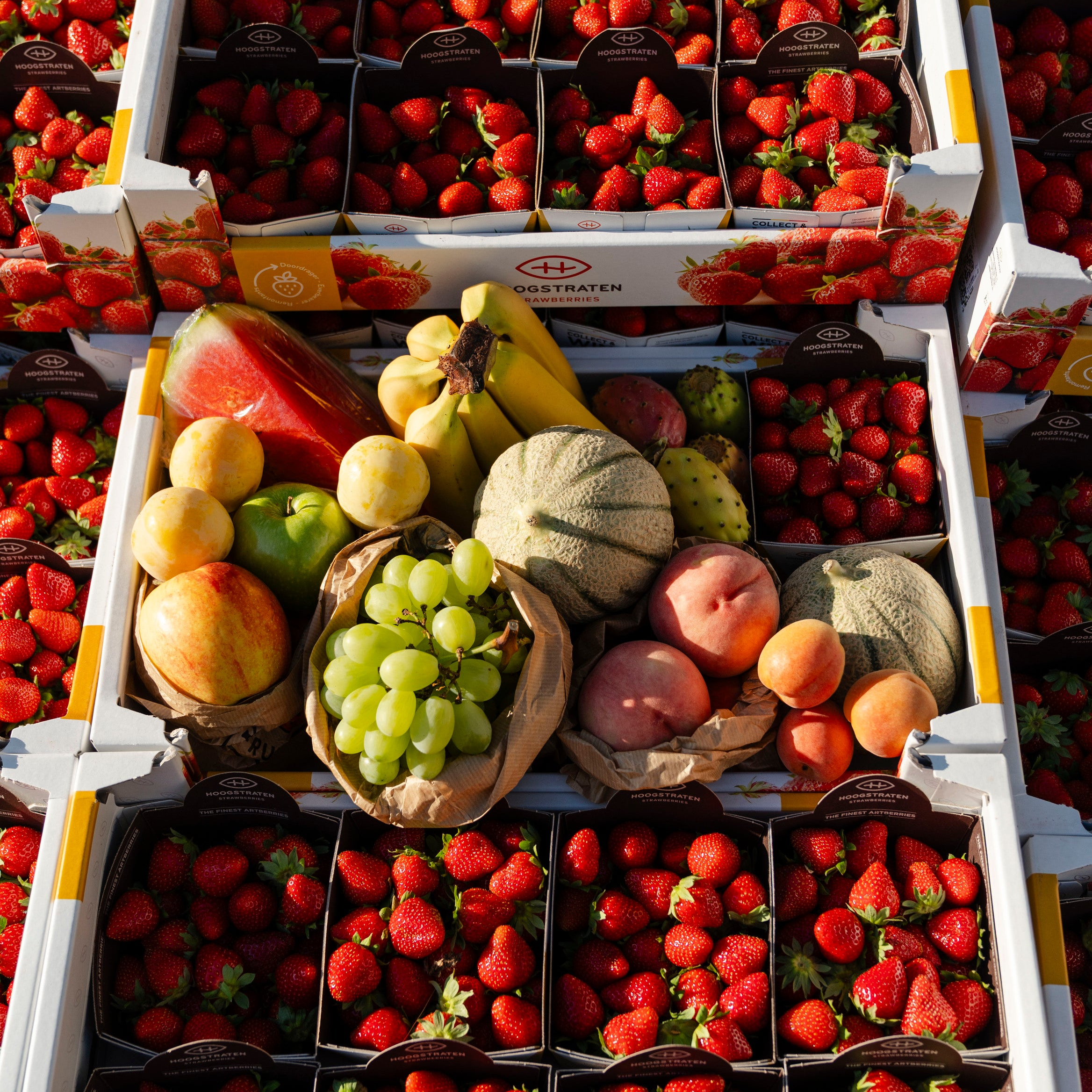 Fruitbox